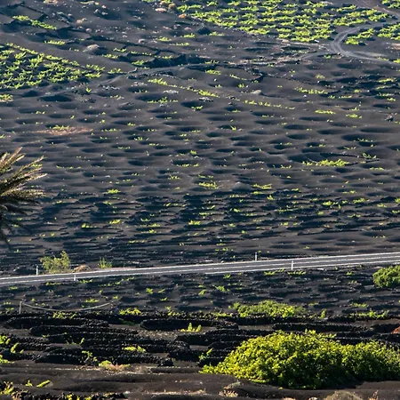 Home2book Relaxing Getaway With Bbq Apartman Orzola